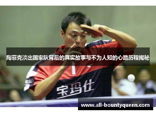 陶菲克淡出国家队背后的真实故事与不为人知的心路历程揭秘